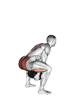 Dumbbell Sumo Pull Through exercise demonstration for Hips, Dumbbell