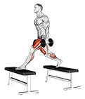 Dumbbell Step-up Split Squat exercise demonstration for Quadriceps, and Thighs, Dumbbell