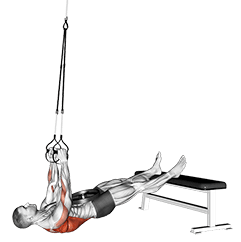 Suspender Weighted Inverted Row exercise demonstration