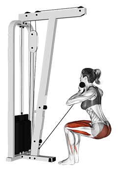Cable Narrow Chair Stand Up exercise demonstration for Hips, Cable