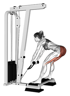 Cable Stiff Leg Deadlift from Stepbox exercise demonstration for Hips, Cable