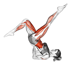 Bicycle exercise demonstration