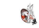 Crab exercise demonstration