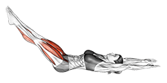 Hundred exercise demonstration for Thighs, Body weight