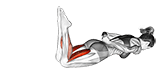 Lying Double Leg Kick exercise demonstration for Thighs, Body weight