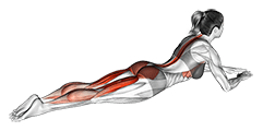 Lying Single Leg Kick exercise demonstration for Thighs, Body weight
