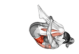 Rolling Back exercise demonstration