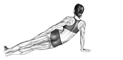 Side Bend exercise demonstration for Waist, Body weight