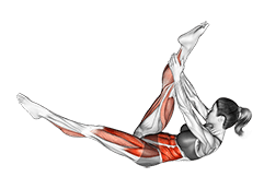 Single Straight Leg Stretch exercise demonstration for Thighs, Body weight