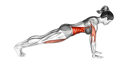 Leg Pull Front Supported exercise demonstration for Thighs, Body weight