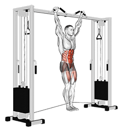 Cable Hanging Leg Raise exercise demonstration for Waist, Cable