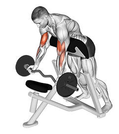 EZ-Barbell Standing Preacher Curl exercise demonstration