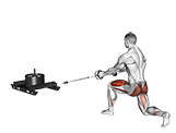 Power Sled Rear Lunge Row exercise demonstration