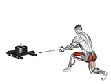 Power Sled Rear Lunge exercise demonstration