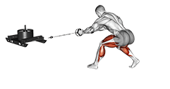 Power Sled Rear Drag exercise demonstration