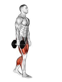 Dumbbell Suitcase Carry exercise demonstration for Thighs, Dumbbell