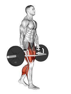 Trap Bar Farmers Carry exercise demonstration for Thighs, Trap bar