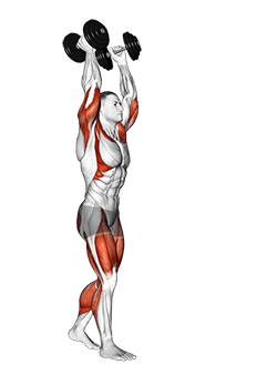 Dumbbell Overhead Carry exercise demonstration for Thighs, Dumbbell