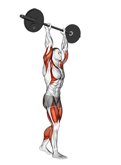 Barbell Overhead Carry exercise demonstration for Thighs, Barbell