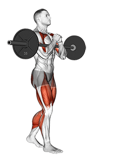 Barbell Zercher Carry exercise demonstration