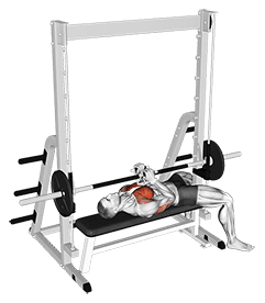 Smith Hex Press exercise demonstration