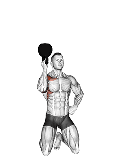 Kettlebell Kneeling One Arm Bottoms Up Press exercise demonstration for Shoulders, Kettlebell