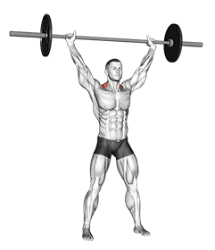 Barbell Overhead Shrug exercise demonstration for Back, Barbell