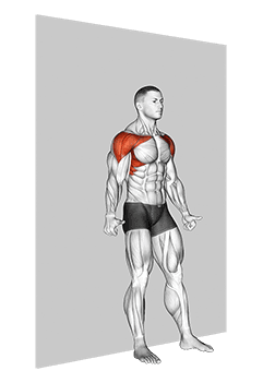 Shoulder Flexion Back to Wall exercise demonstration for Back, Body weight
