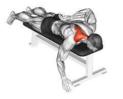 Prone Single Arm Trap Raise exercise demonstration for Back, Body weight