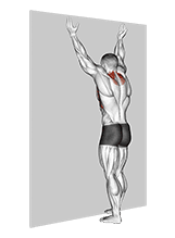 Forearm Wall Slide exercise demonstration for Back, Body weight