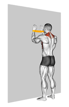 Resistance Band Spider Crawls exercise demonstration for Back, Resistance Band