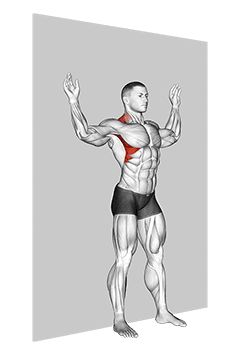Scapular Slide Back to Wall exercise demonstration for Back, Body weight