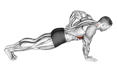 Single Arm Scapula Push up exercise demonstration for Back, Body weight