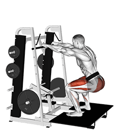 Lever Belt Squat exercise demonstration
