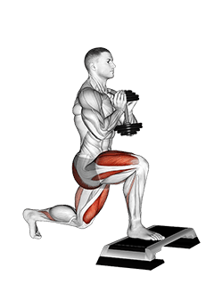 Dumbbell Goblet Split Squat Front Foot Elevanted exercise demonstration for Quadriceps, and Thighs, Dumbbell