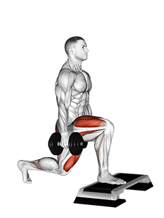 Dumbbell Split Squat Front Foot Elevanted exercise demonstration for Quadriceps, and Thighs, Dumbbell