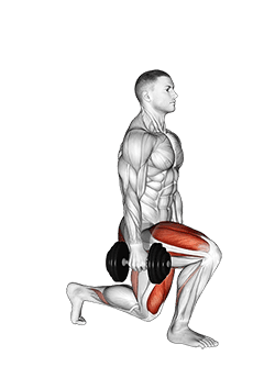 Dumbbell Split Squat exercise demonstration