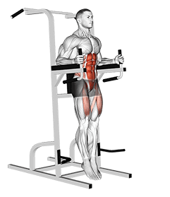 Captains Chair Straight Leg Raise exercise demonstration for Waist, Body weight