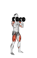 Dumbbell Thruster exercise demonstration for Thighs, Dumbbell