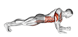 Elbow Up and Down Dynamic Plank exercise demonstration for Upper Arms, Body weight