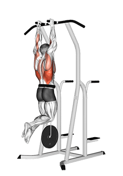 Weighted Hammer Grip Pull-up on Dip Cage exercise demonstration for Back, Weighted