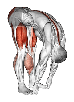 Squat mobility Complex exercise demonstration