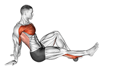 Rollball Seated Single Leg Shoulder Flexor Depresor Retractor exercise demonstration