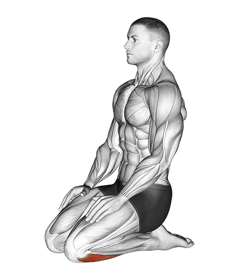 Seated Ankle Stretch exercise demonstration