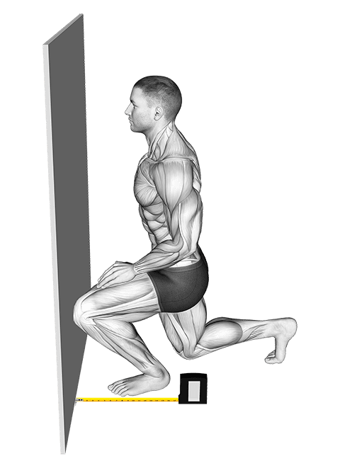 Squats - Knee Position exercise demonstration for Thighs, Body weight