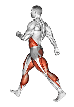 Briskly Walking exercise demonstration for Cardio, Body weight