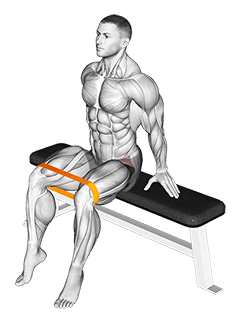 Resistance Band Seated Hip Abduction exercise demonstration