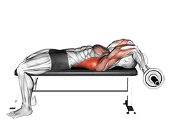 EZ Bar Lying Bent Arms Pullover exercise demonstration