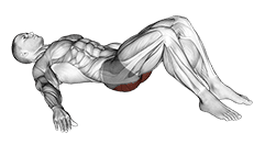 Low Glute Bridge on floor exercise demonstration for Hips, Body weight