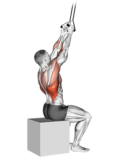 Band Fixed Back Close Grip Pulldown exercise demonstration for Back, Band